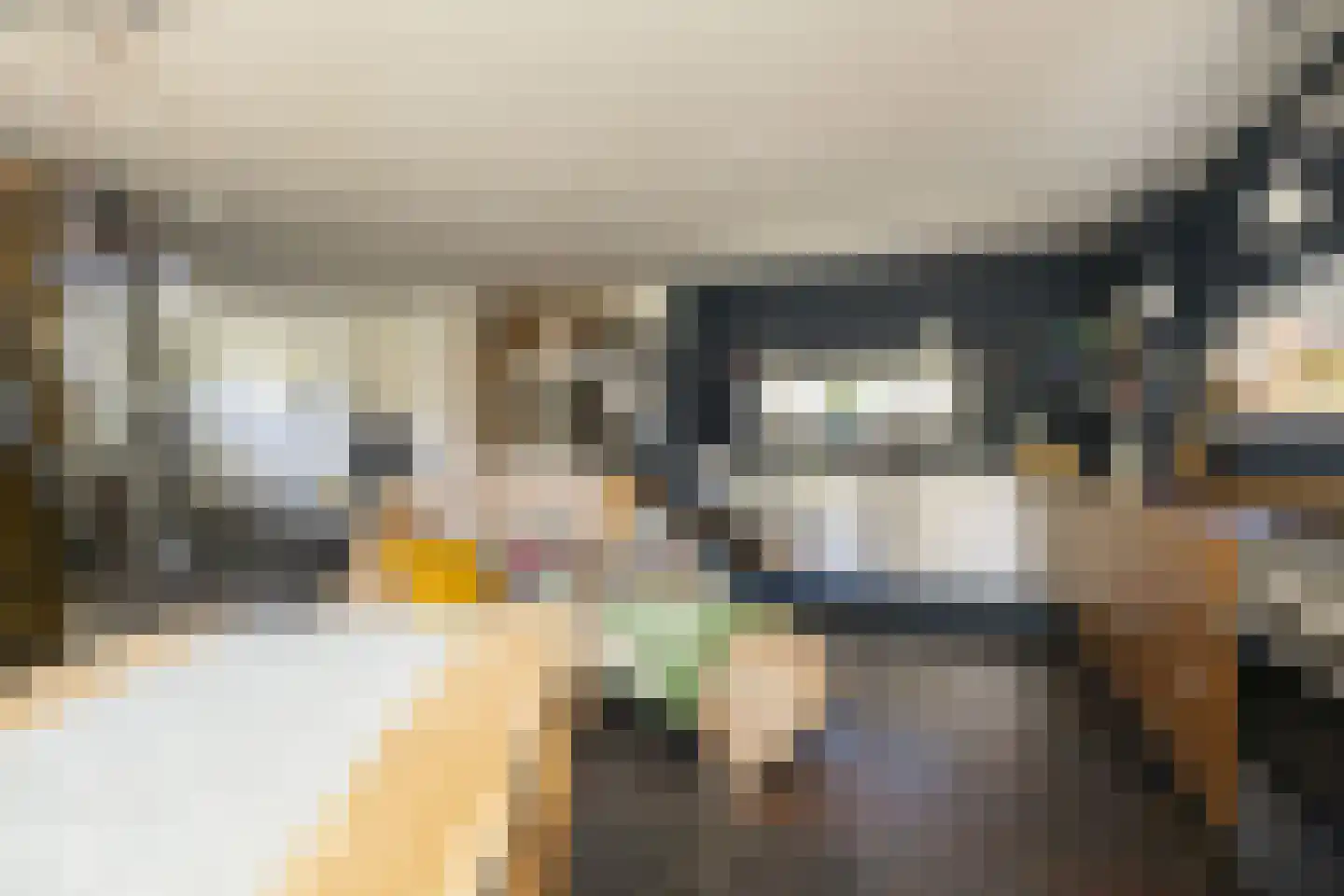 Driemanschapskade 10 Leiden thumbnail 31
