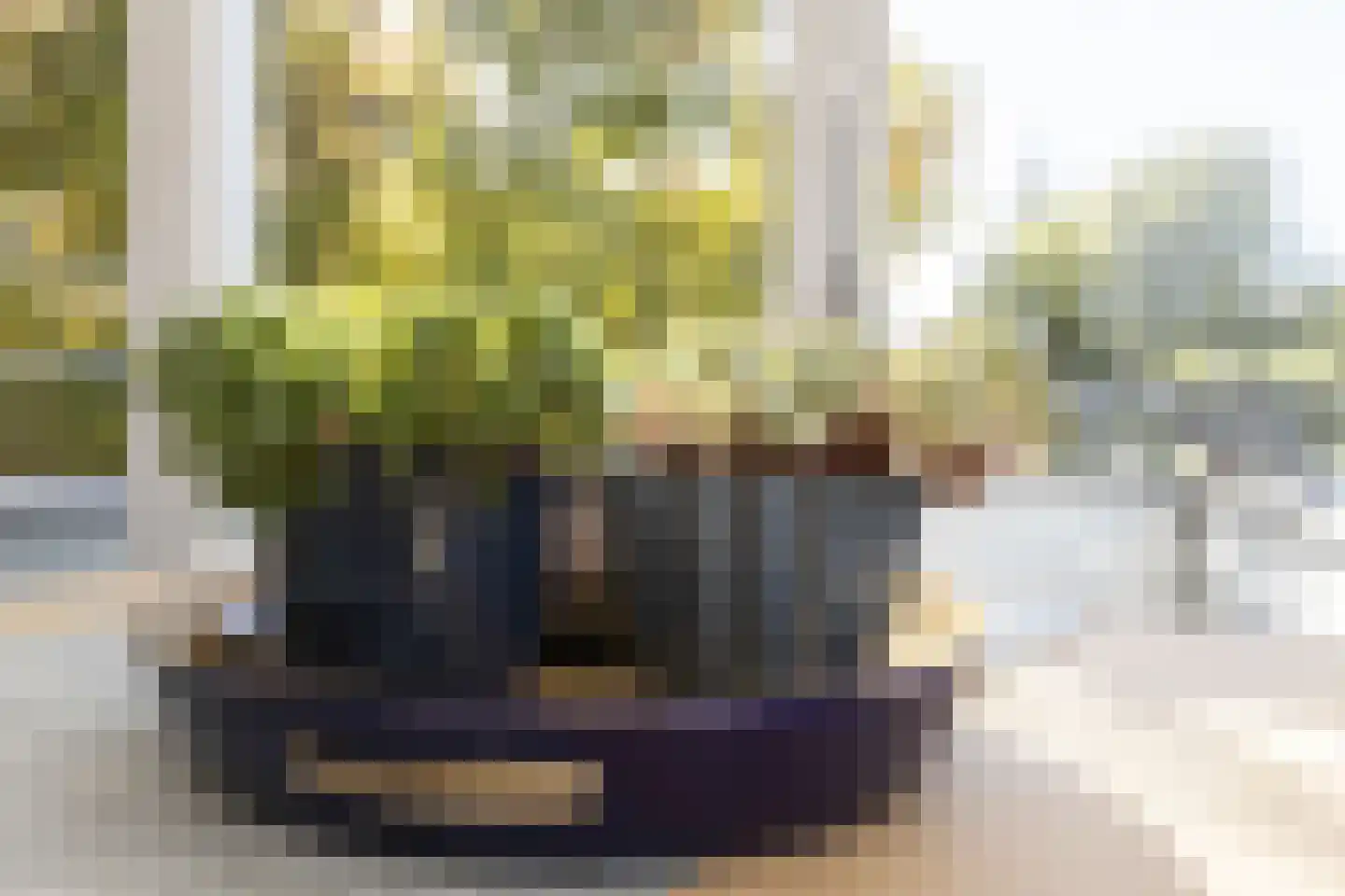 Driemanschapskade 10 Leiden thumbnail 35