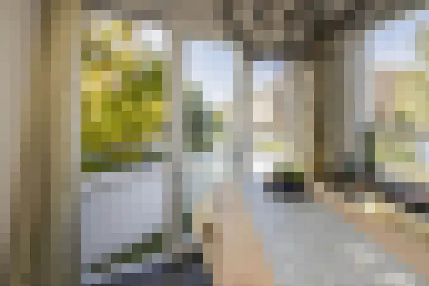 Driemanschapskade 10 Leiden thumbnail 37
