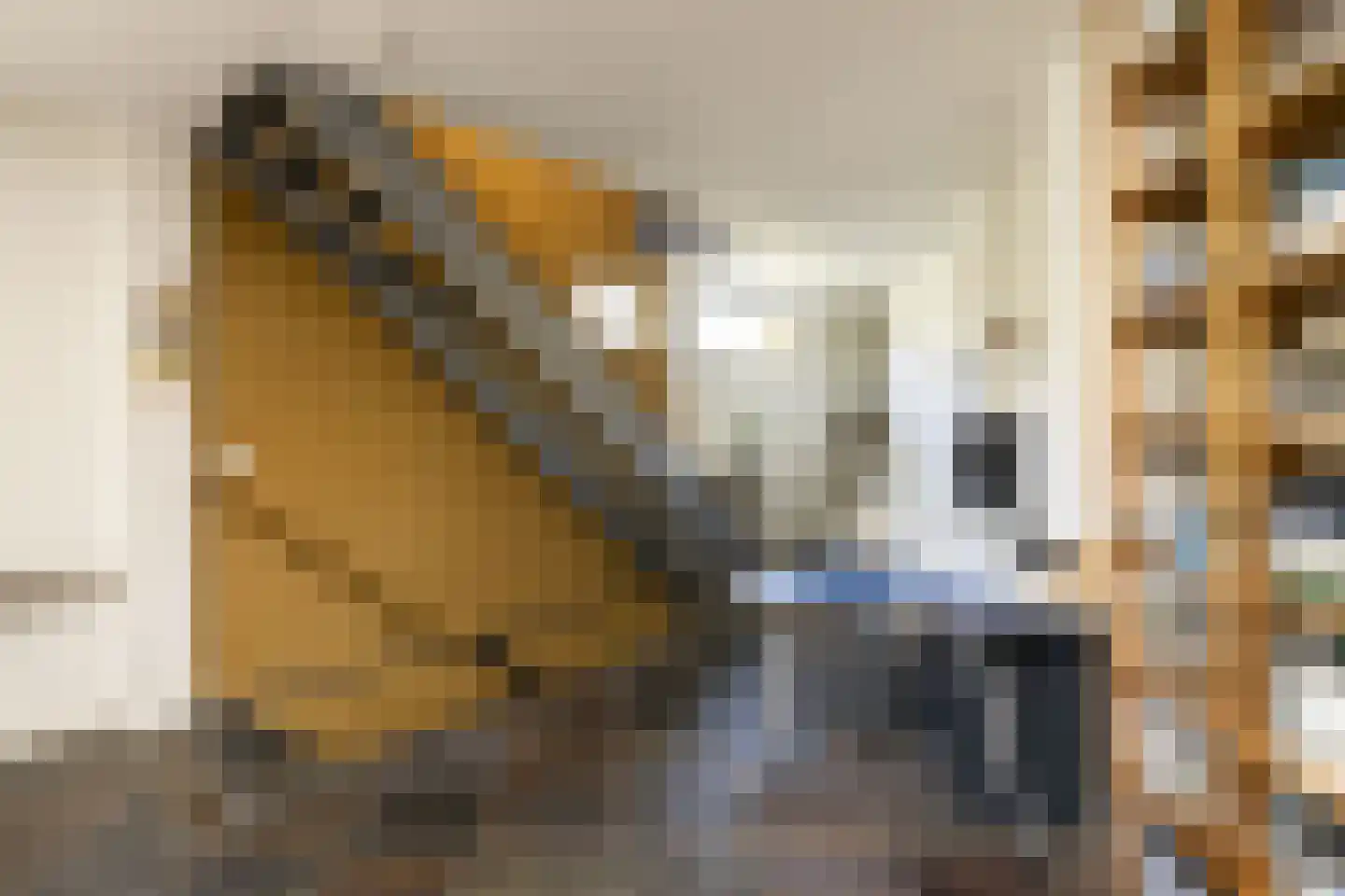 Driemanschapskade 10 Leiden thumbnail 43