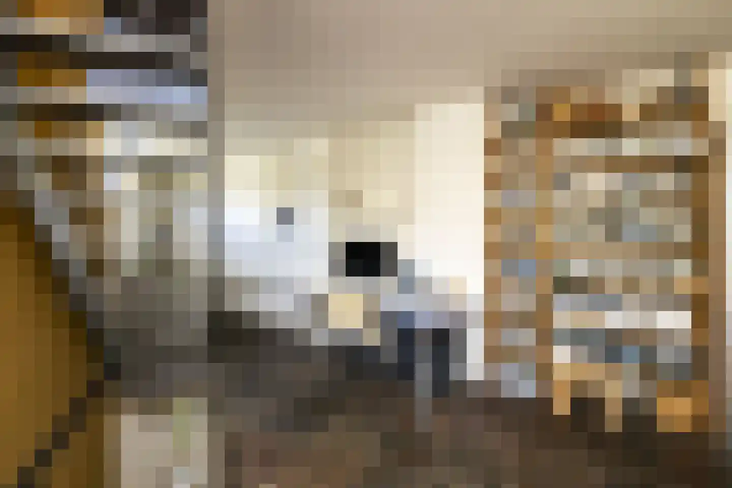 Driemanschapskade 10 Leiden thumbnail 44