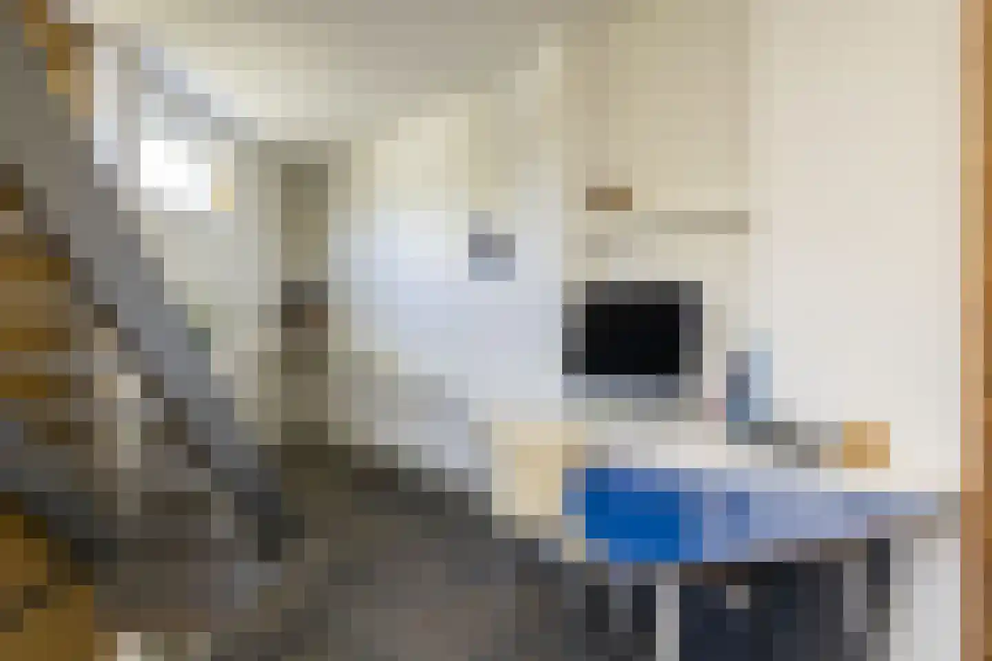 Driemanschapskade 10 Leiden thumbnail 45