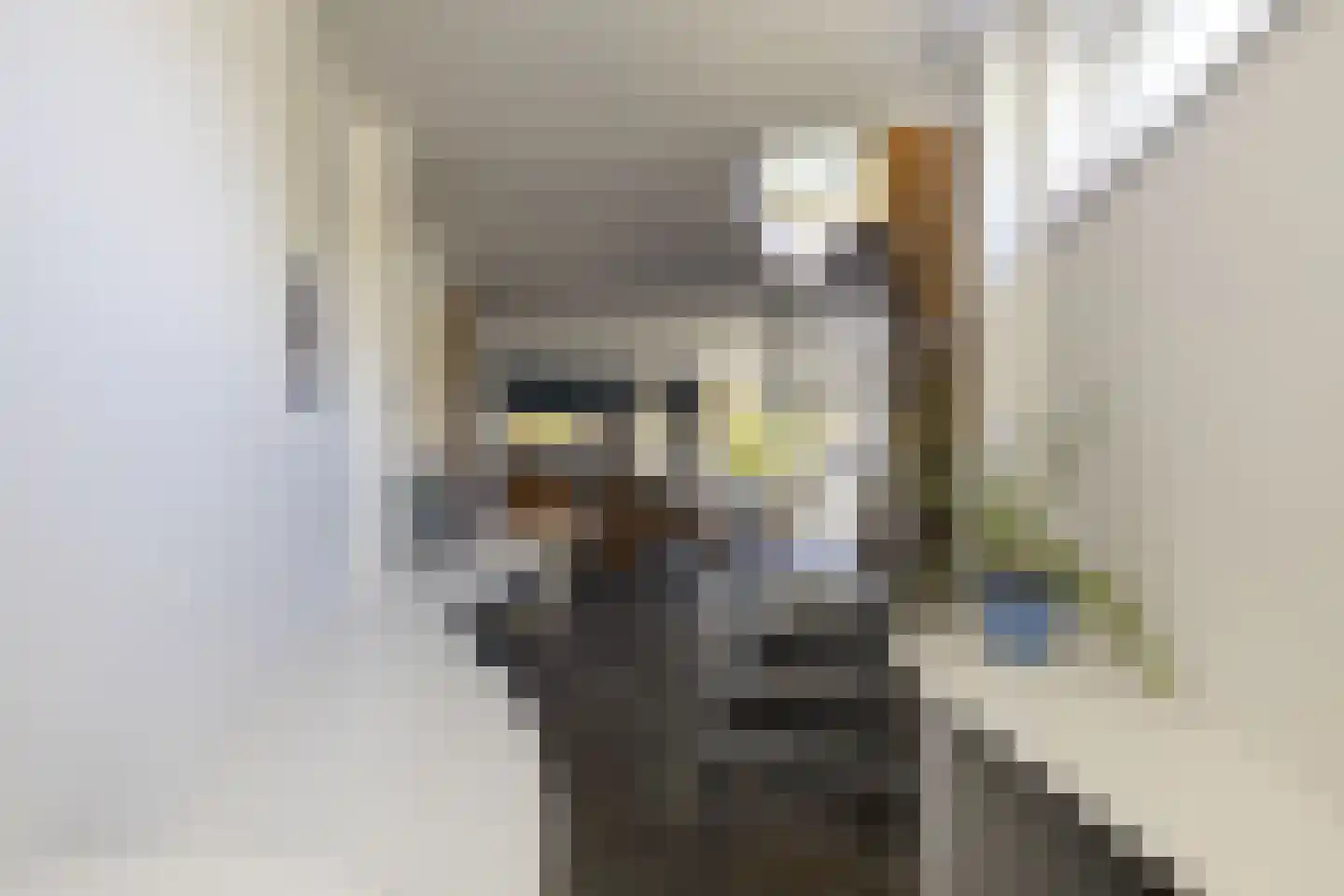 Driemanschapskade 10 Leiden thumbnail 46