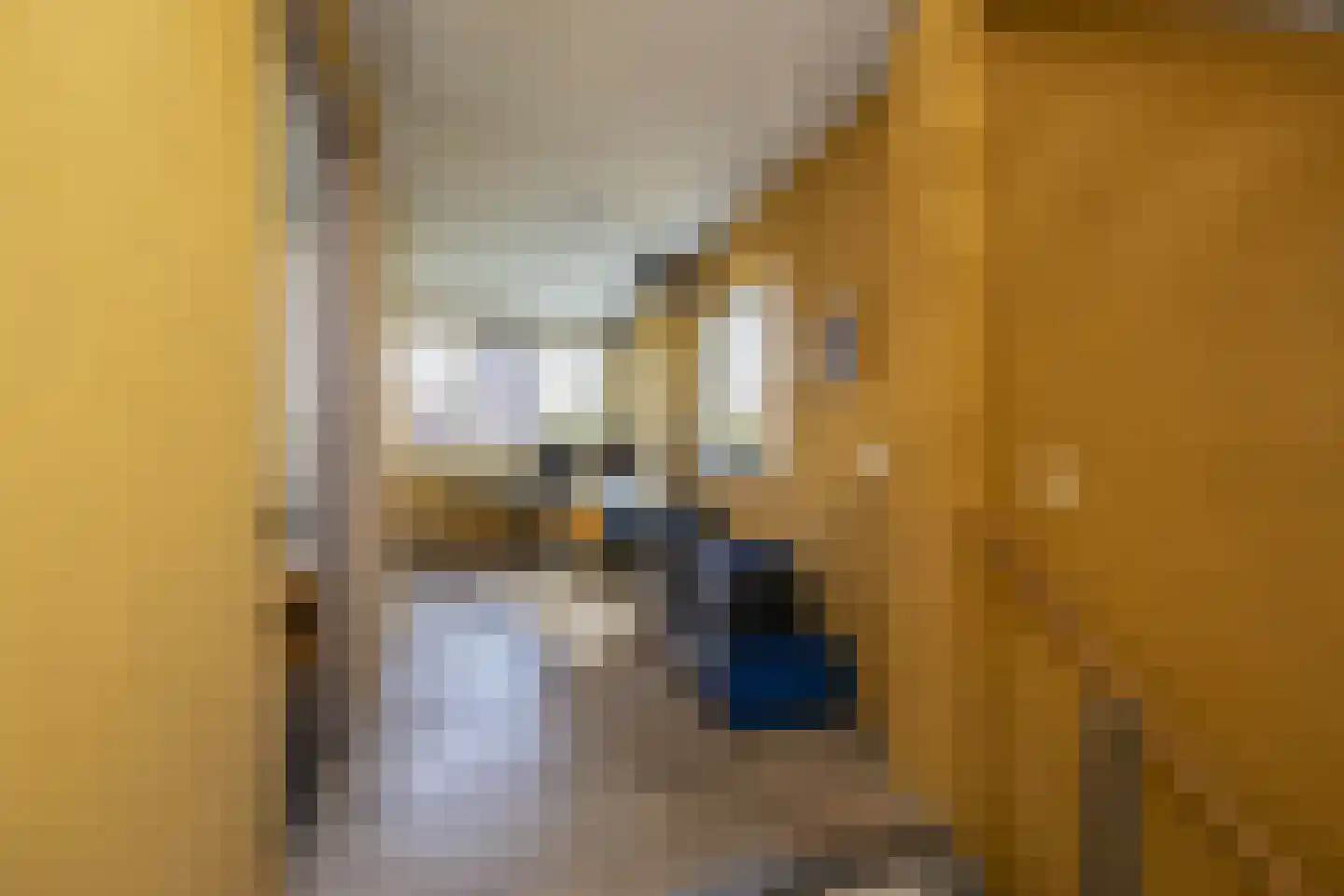 Driemanschapskade 10 Leiden thumbnail 48