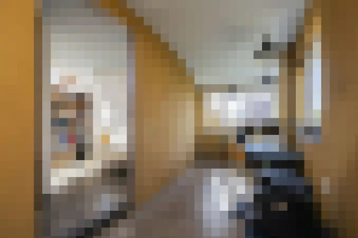 Driemanschapskade 10 Leiden thumbnail 49