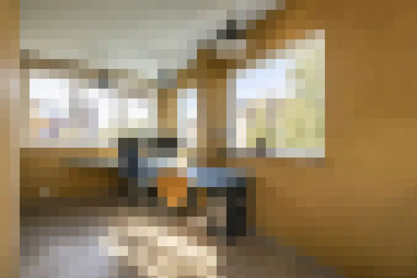 Driemanschapskade 10 Leiden thumbnail 50