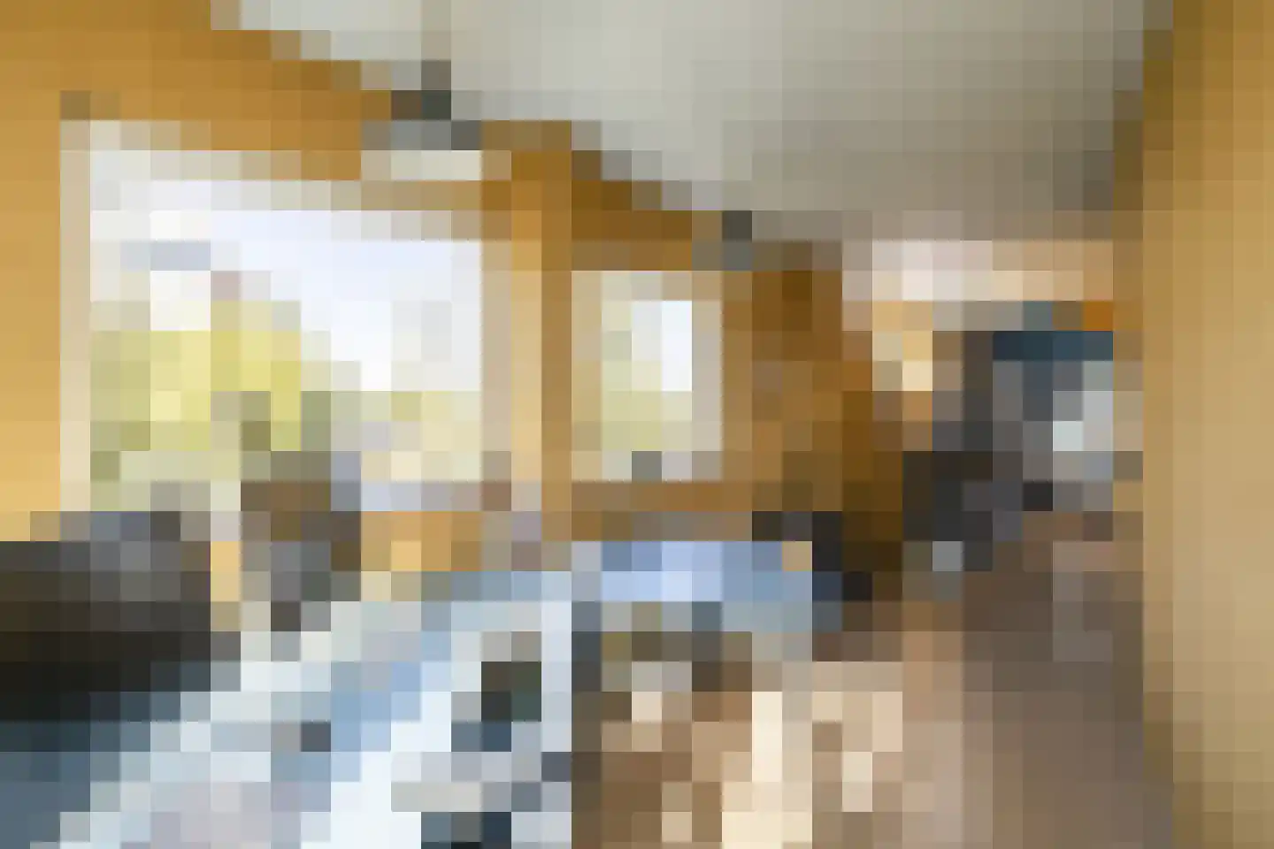 Driemanschapskade 10 Leiden thumbnail 51