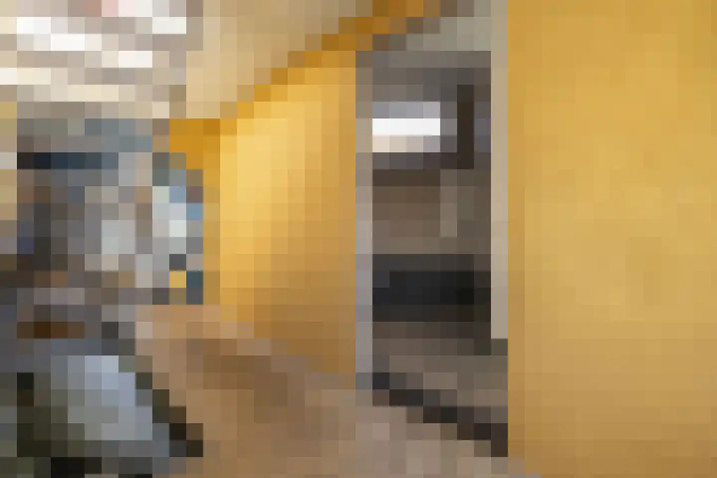 Driemanschapskade 10 Leiden thumbnail 52