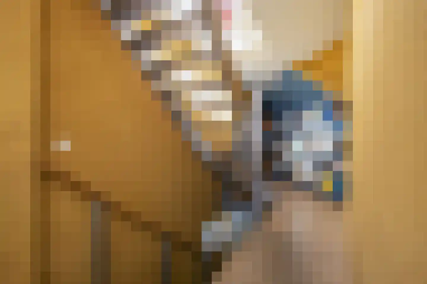 Driemanschapskade 10 Leiden thumbnail 53