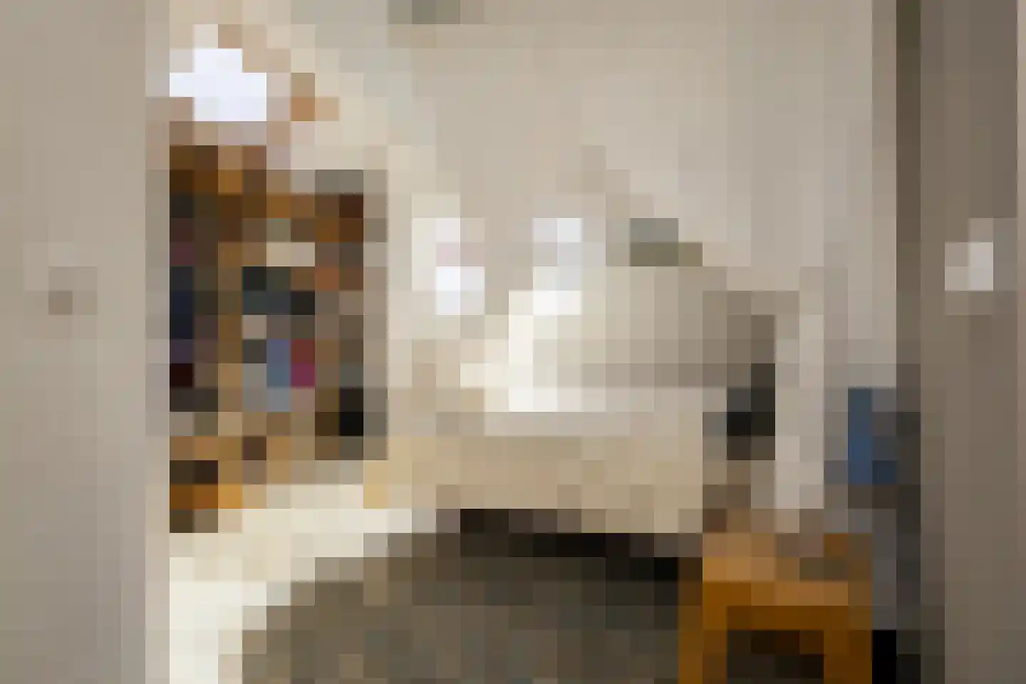 Driemanschapskade 10 Leiden thumbnail 55