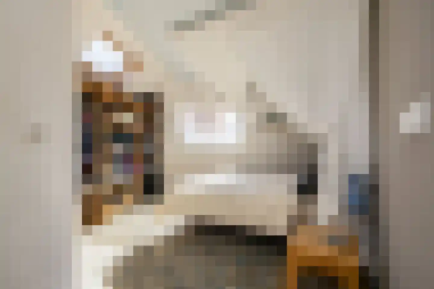 Driemanschapskade 10 Leiden thumbnail 56