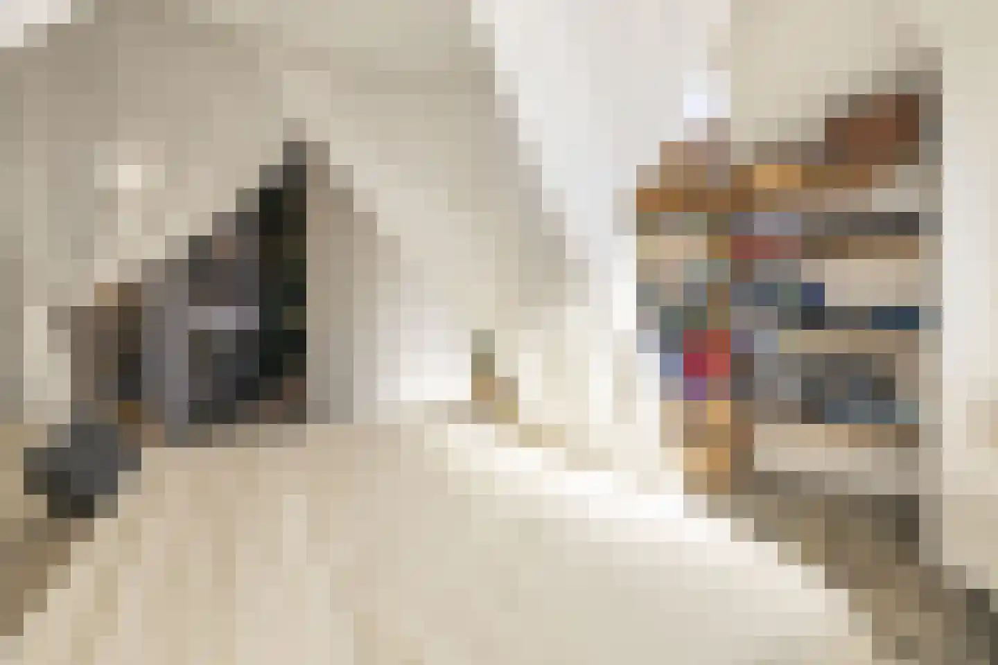 Driemanschapskade 10 Leiden thumbnail 57