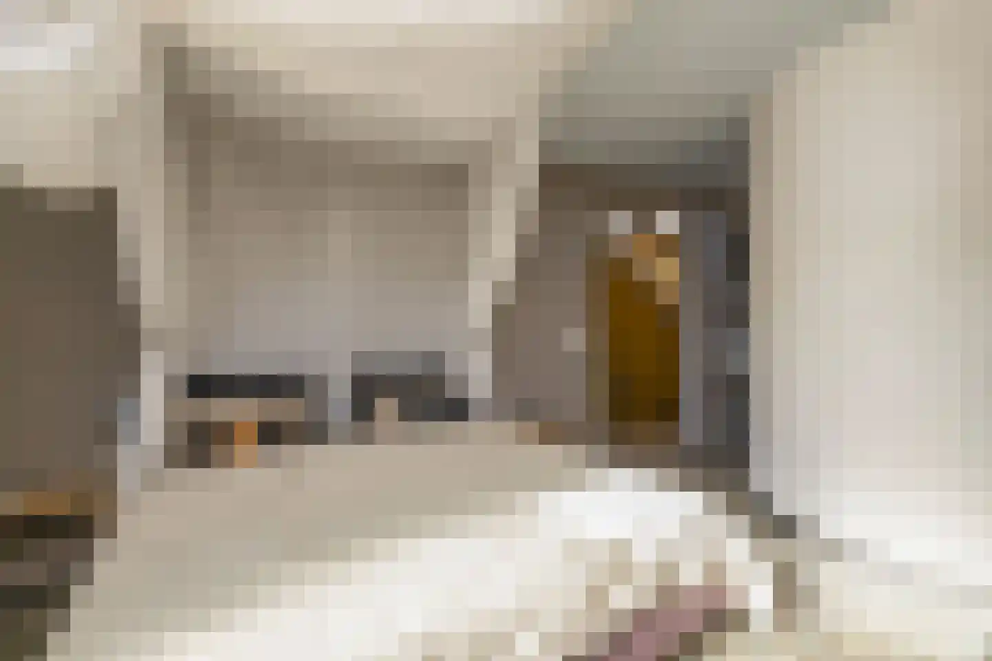 Driemanschapskade 10 Leiden thumbnail 59