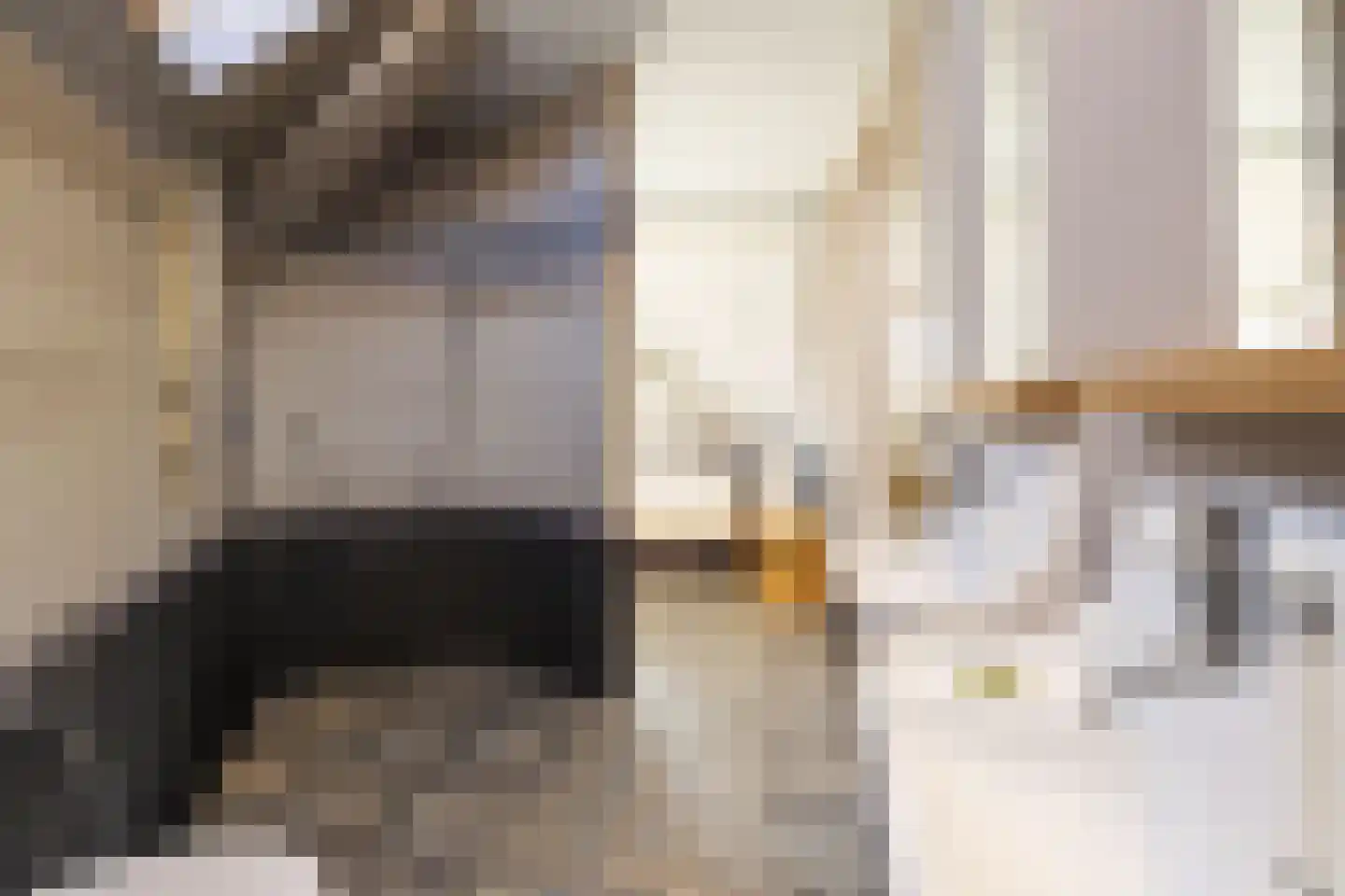 Driemanschapskade 10 Leiden thumbnail 61