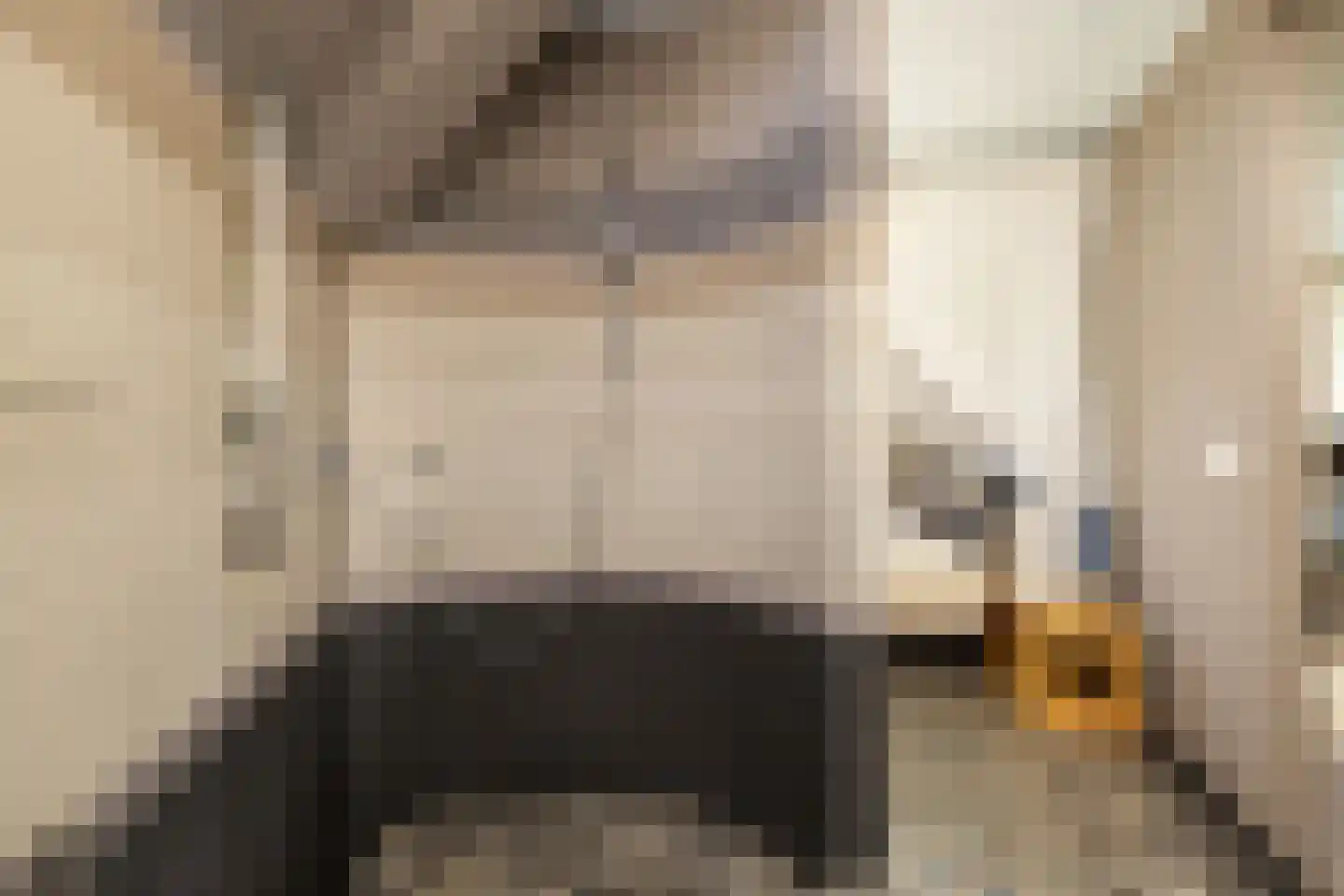 Driemanschapskade 10 Leiden thumbnail 62