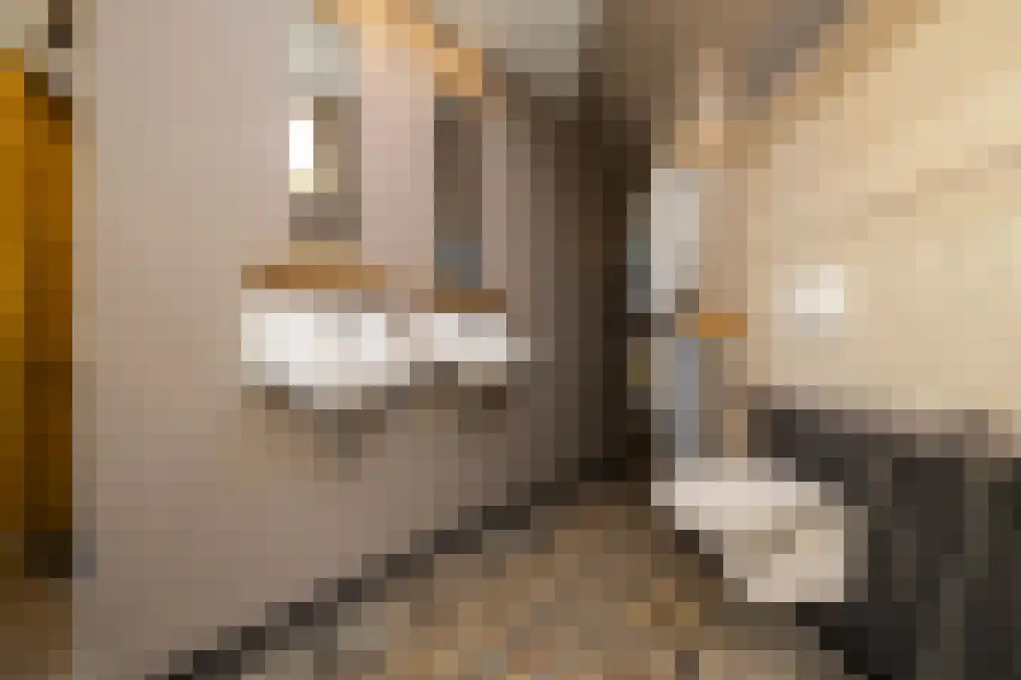 Driemanschapskade 10 Leiden thumbnail 63