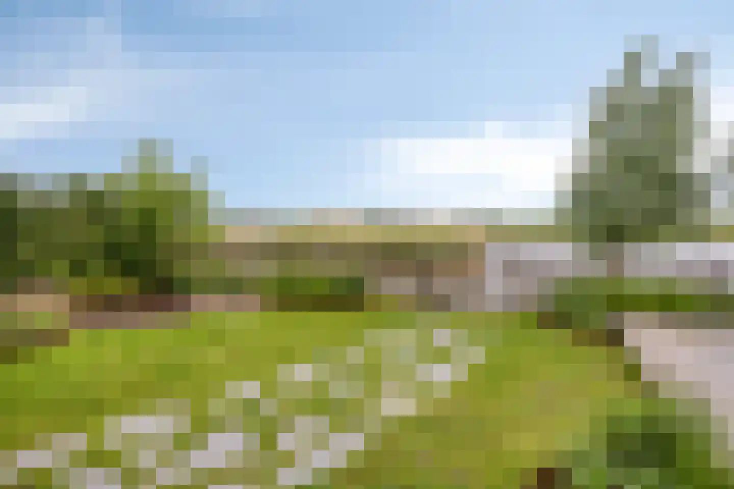 Driemaster 19 Reeve thumbnail 32
