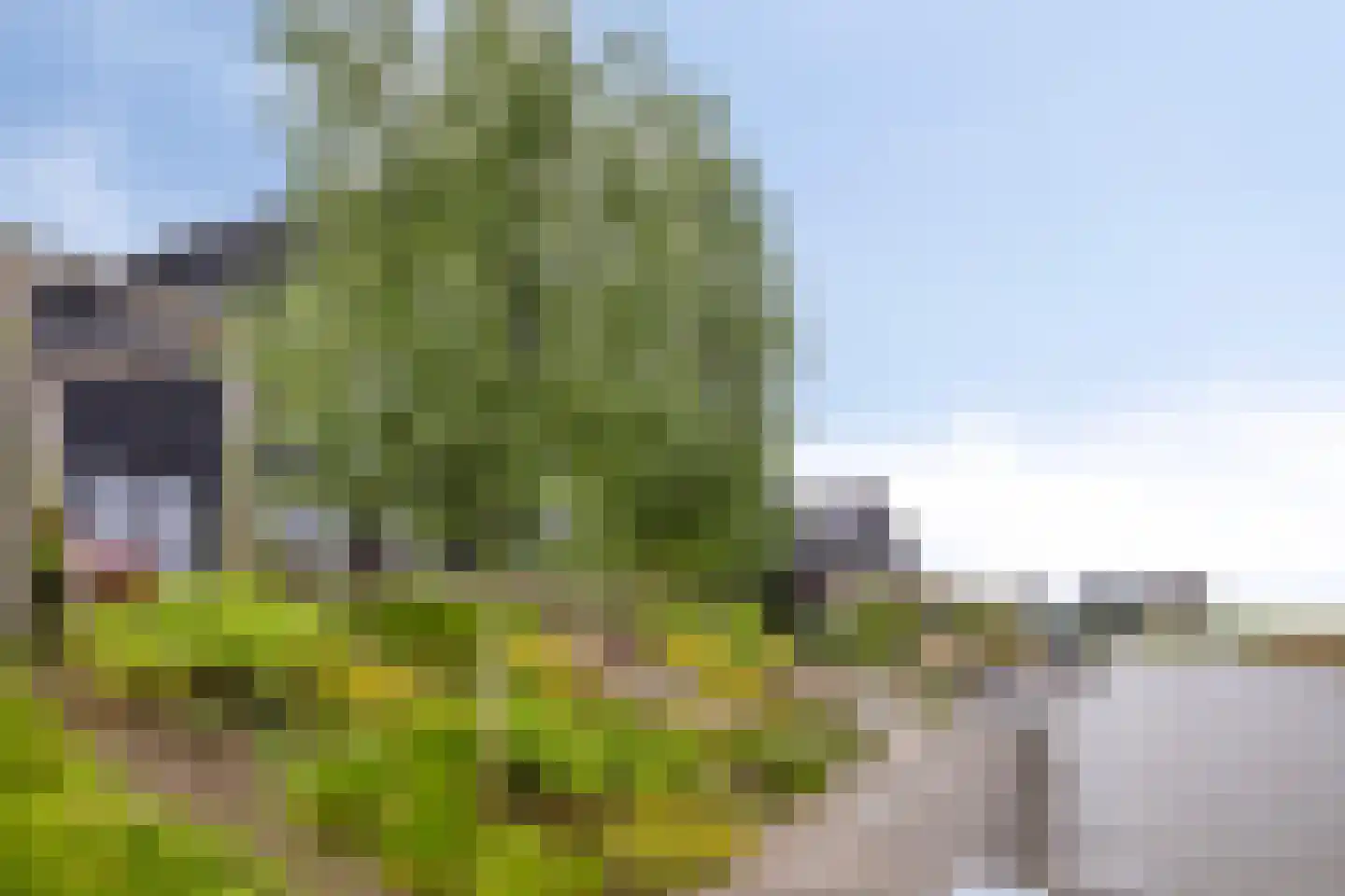 Driemaster 19 Reeve thumbnail 34