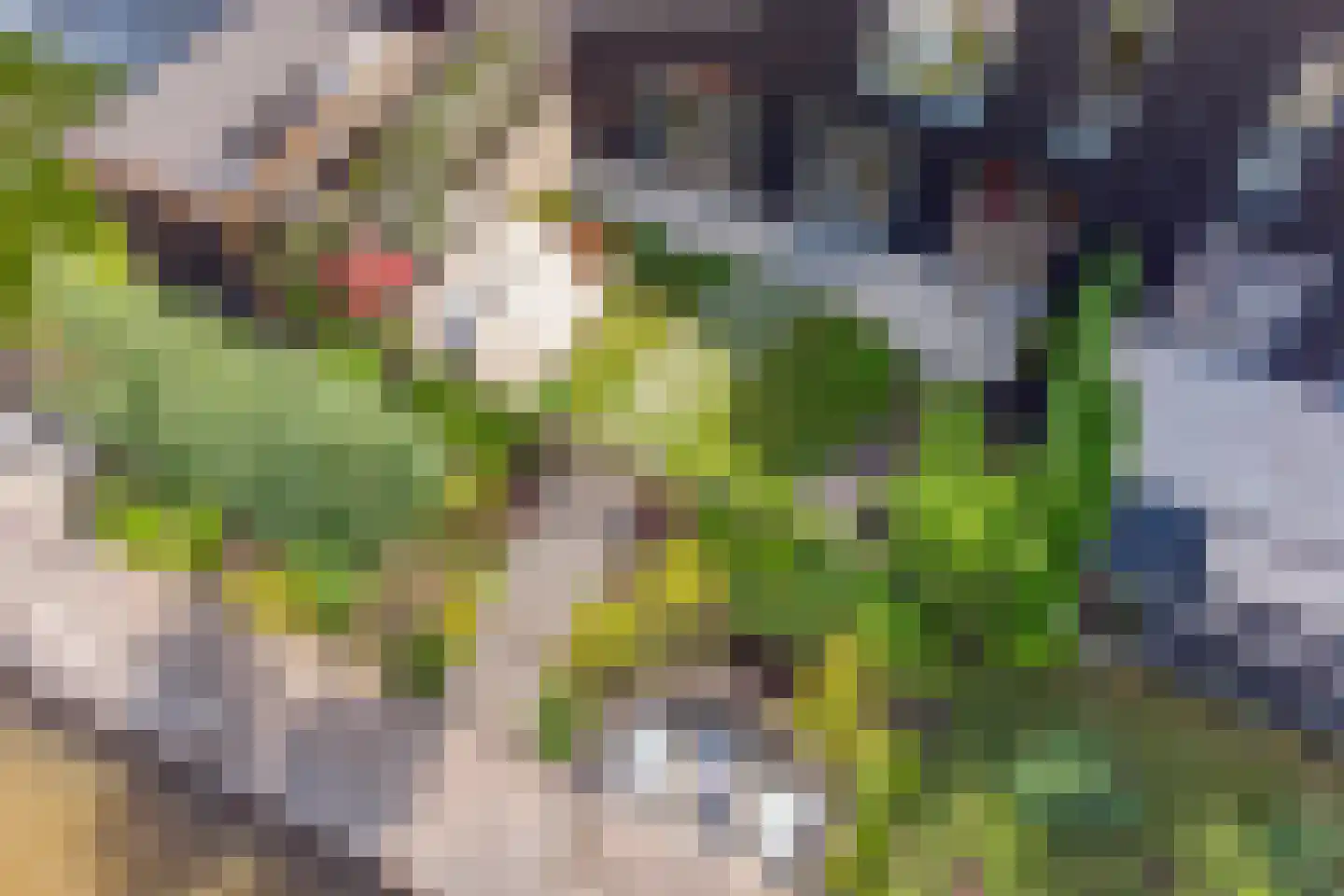 Driemaster 19 Reeve thumbnail 37