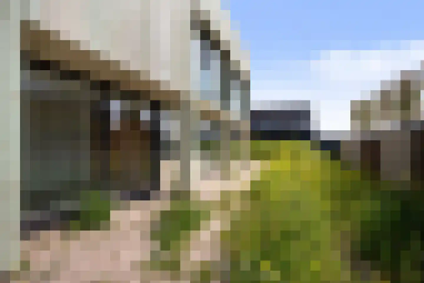 Driemaster 2 Reeve thumbnail 48
