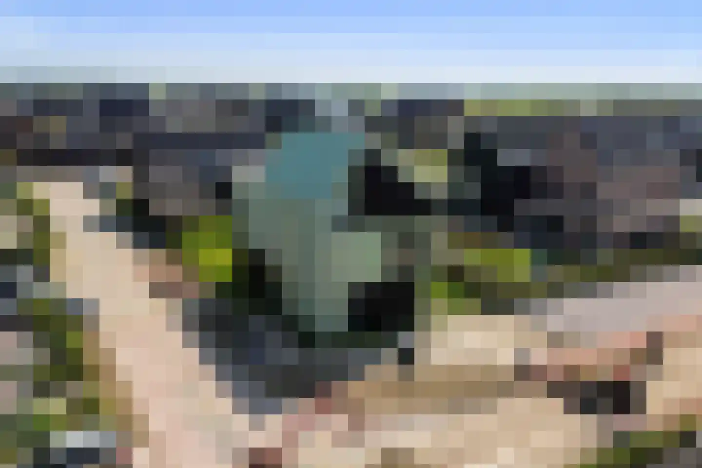 Driemaster 2 Reeve thumbnail 58