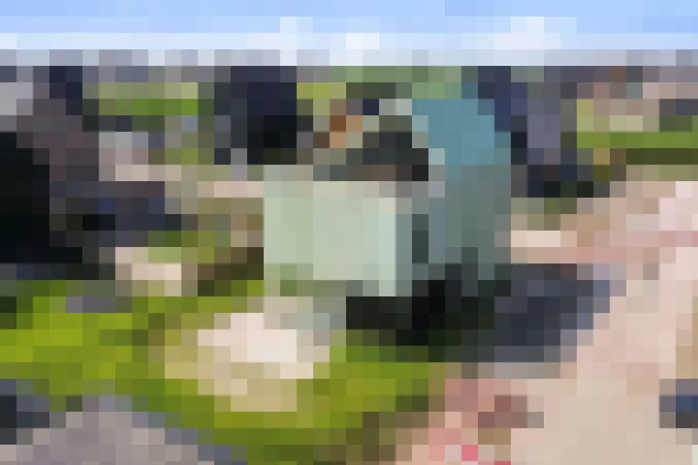 Driemaster 2 Reeve thumbnail 60