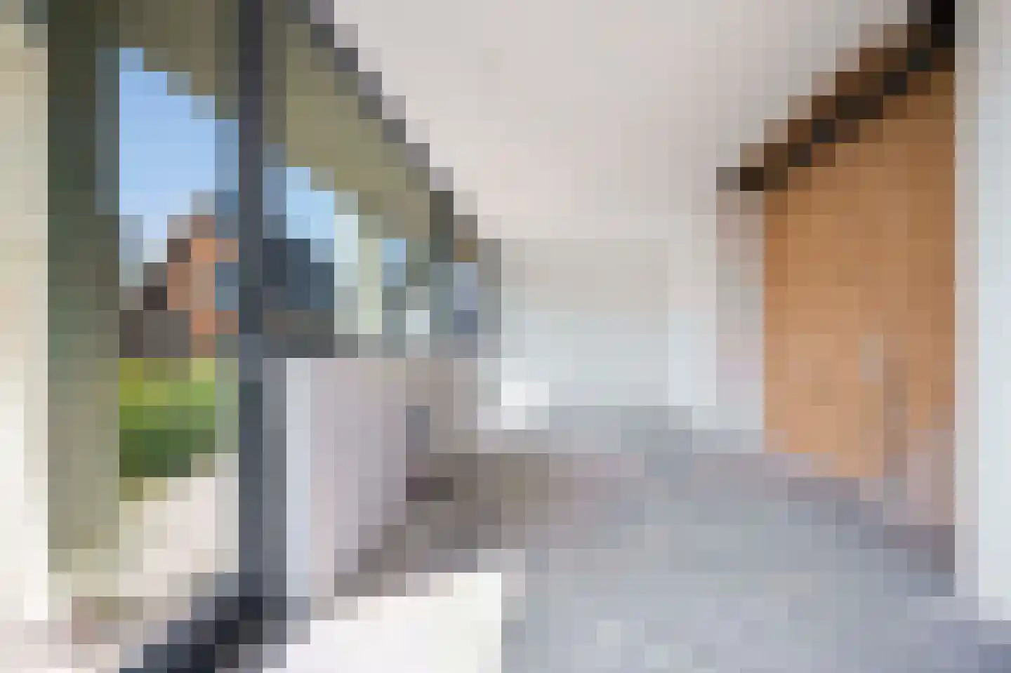 Driemaster 2 Reeve thumbnail 7