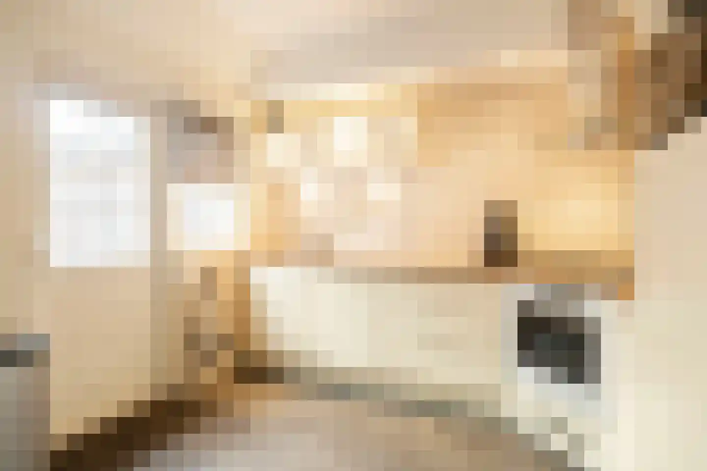 Driemaster 7 Veenendaal thumbnail 14