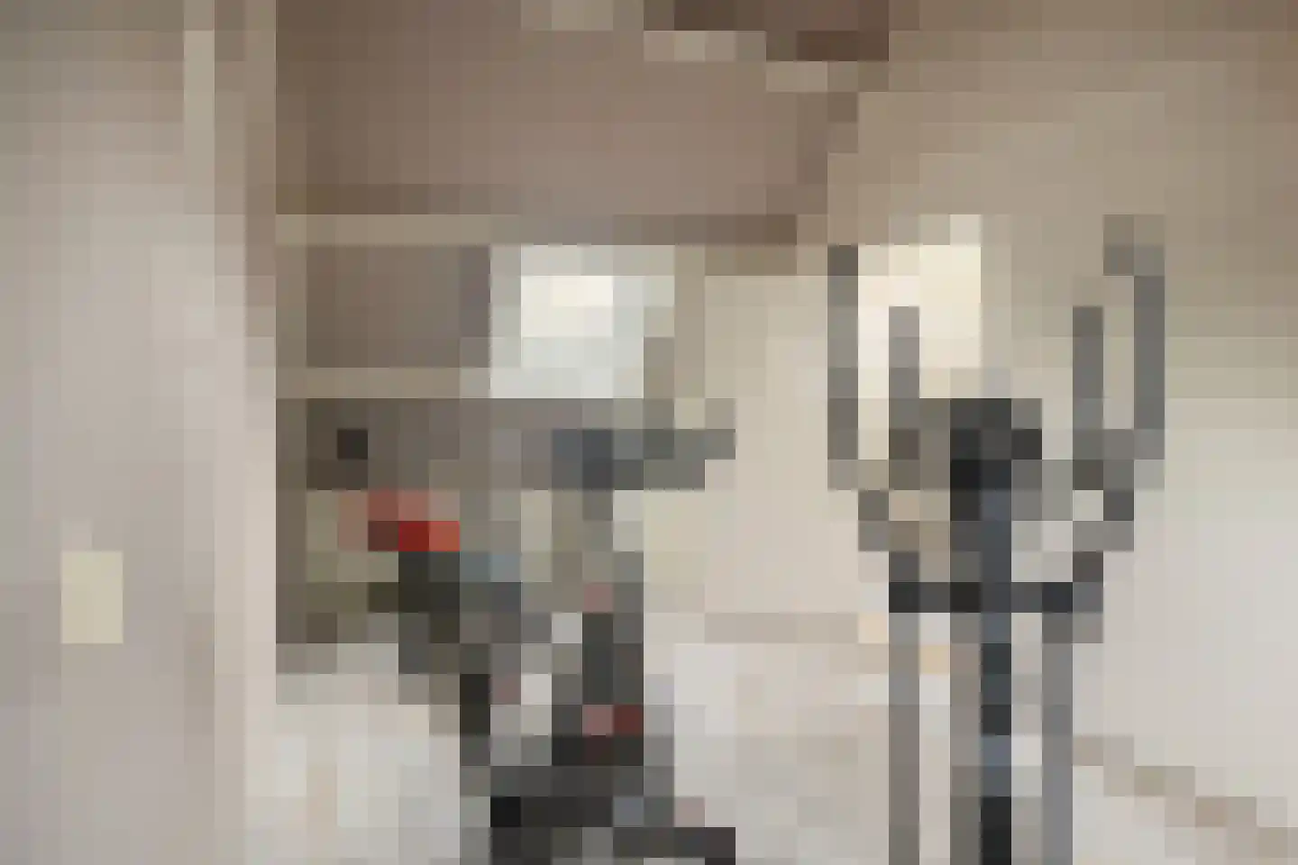 Driemaster 7 Veenendaal thumbnail 33