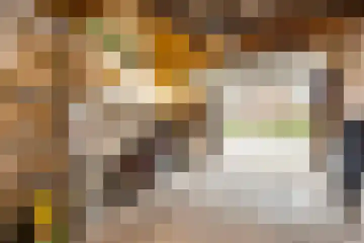 Driemaster 7 Veenendaal thumbnail 40