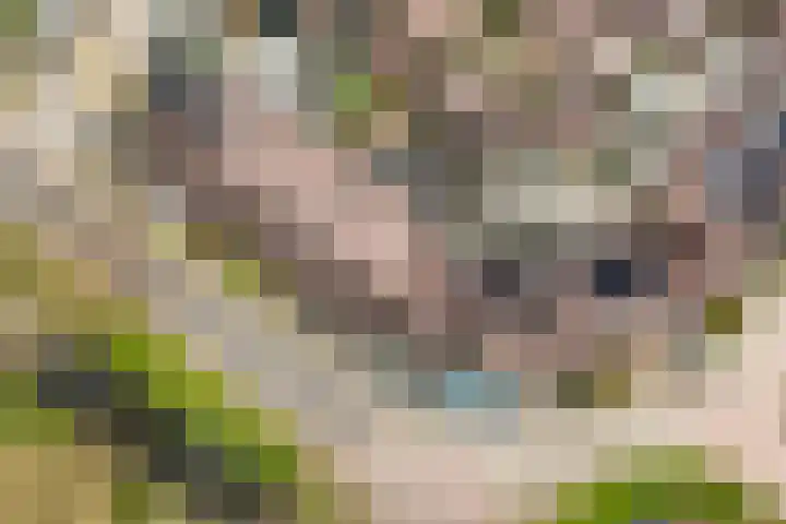Driemaster 7 Veenendaal thumbnail 41