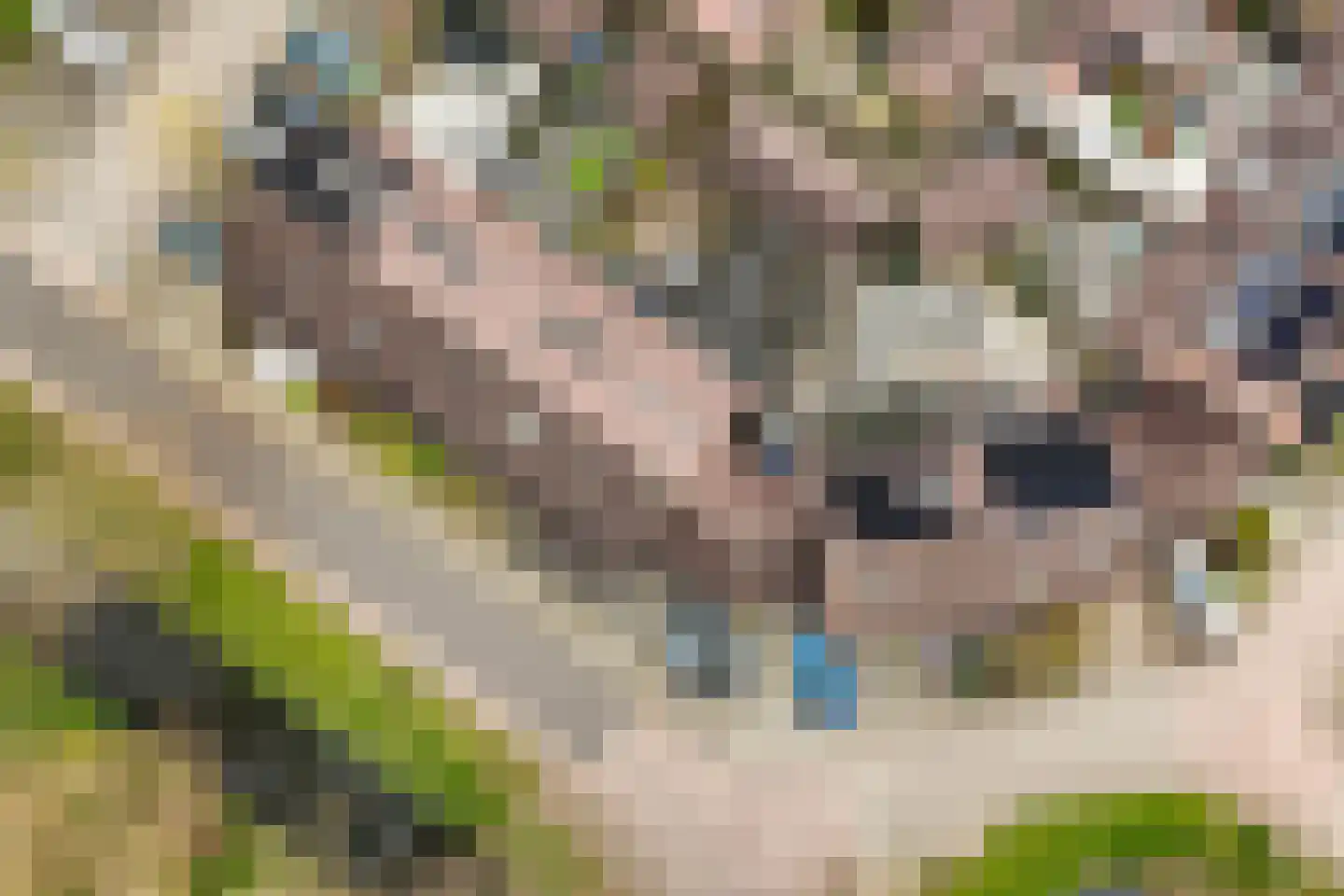 Driemaster 7 Veenendaal thumbnail 41
