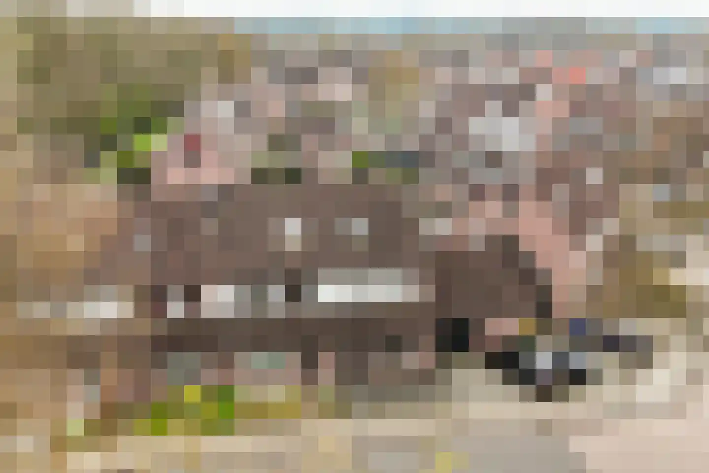 Driemaster 7 Veenendaal thumbnail 42