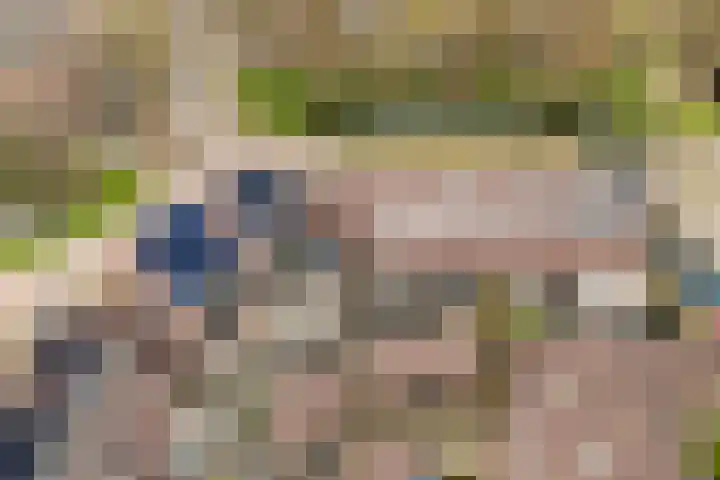 Driemaster 7 Veenendaal thumbnail 43
