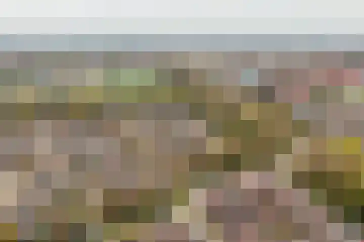 Driemaster 7 Veenendaal thumbnail 44