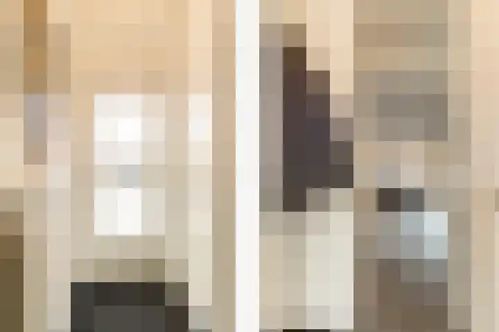 Driemaster 7 Veenendaal thumbnail 5