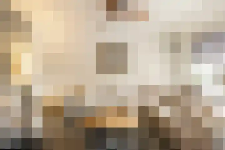 Driemaster 7 Veenendaal thumbnail 6