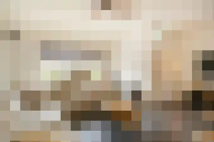 Driemaster 7 Veenendaal thumbnail 8