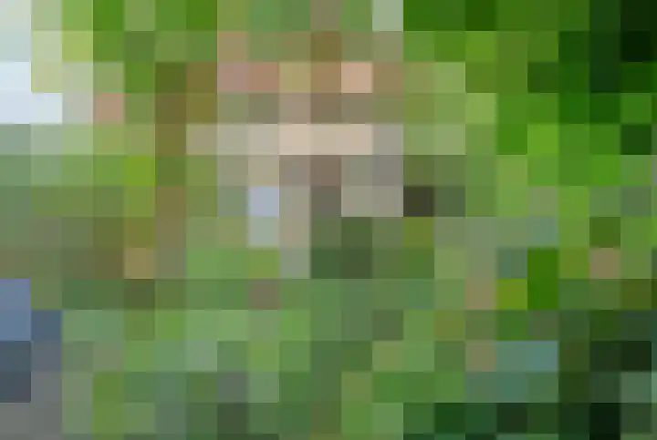 Driemasterwal 11 Leiden thumbnail 32