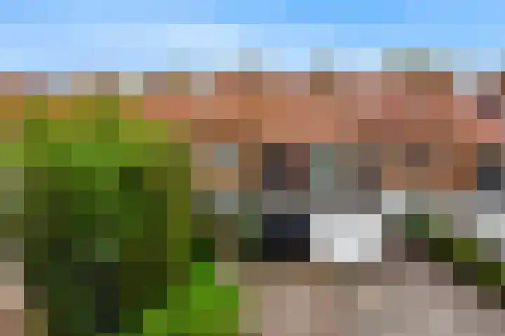 Driemasterwal 11 Leiden thumbnail 4