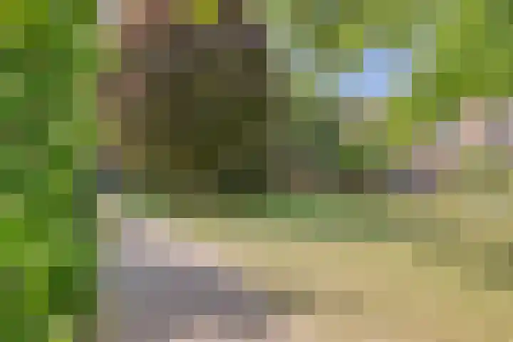 Driemasterwal 11 Leiden thumbnail 53