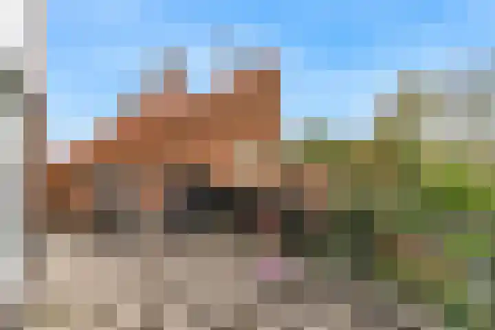 Driemasterwal 11 Leiden thumbnail 54