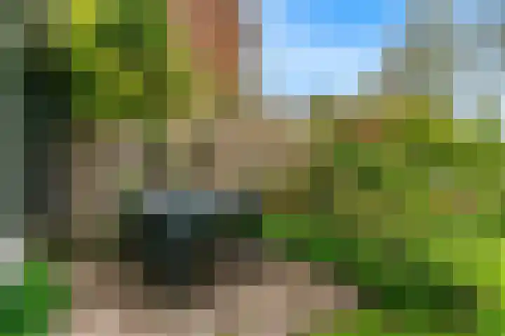 Driemasterwal 11 Leiden thumbnail 58