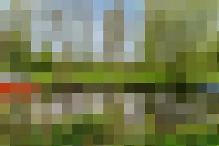Driemasterwal 11 Leiden thumbnail 60