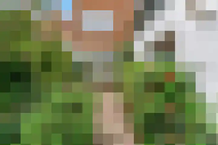 Driemasterwal 11 Leiden thumbnail 62