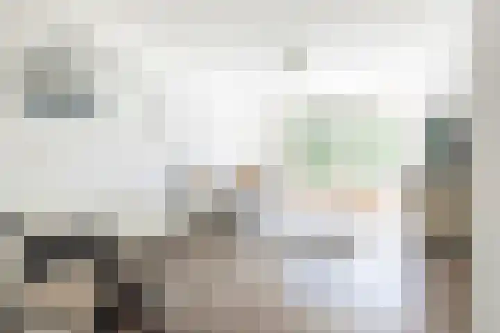 Driemasterwal 11 Leiden thumbnail 70
