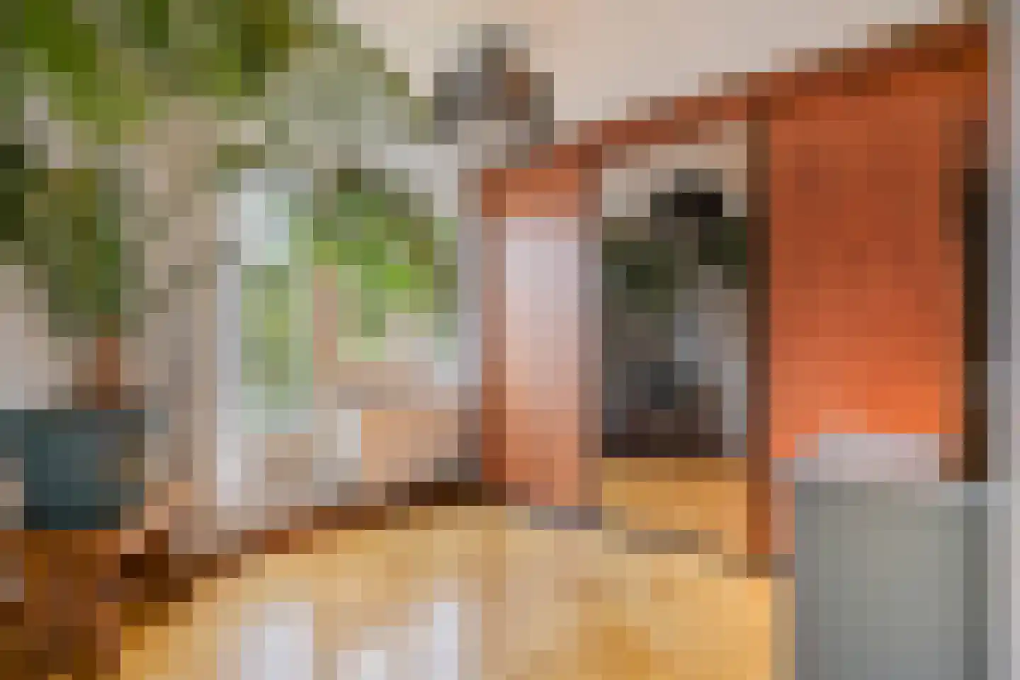 Driemasterwerf 19 Zoetermeer thumbnail 19