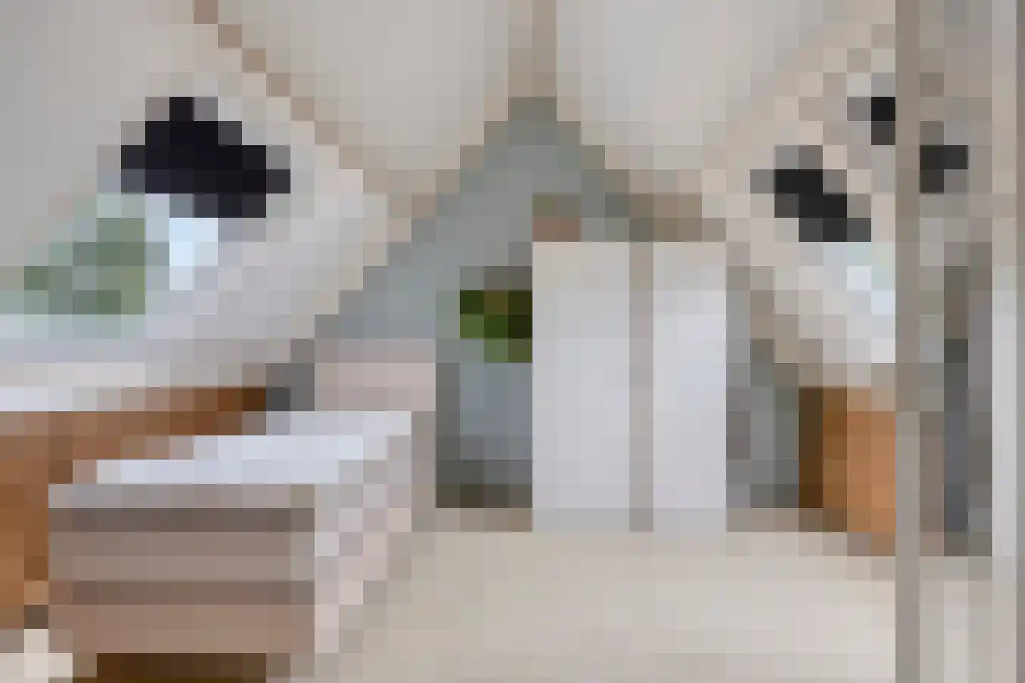 Driemasterwerf 19 Zoetermeer thumbnail 25