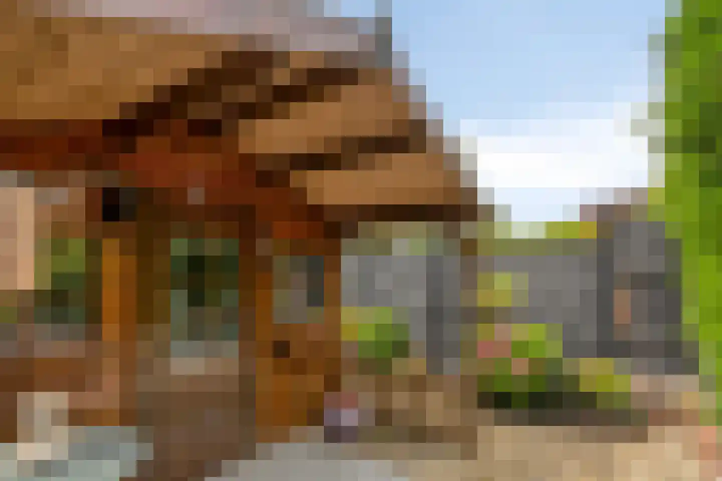 Driemasterwerf 19 Zoetermeer thumbnail 29