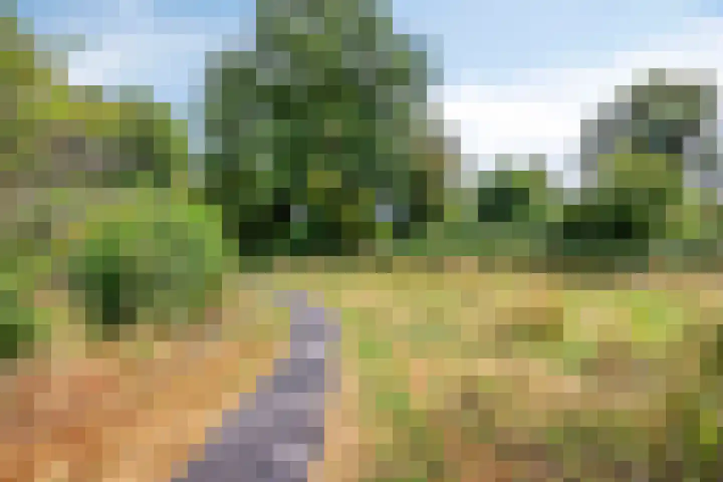 Driemasterwerf 19 Zoetermeer thumbnail 31